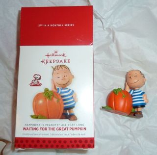 Hallmark Ornament Happiness Is Peanuts Waiting For The Great Pumpkin 3rd Linus