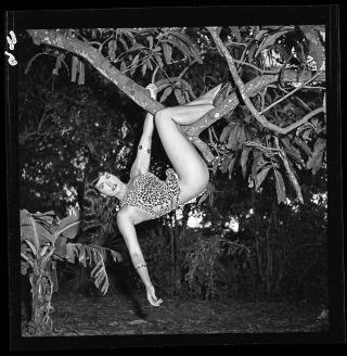 4.  Rare Bettie Page 1954 Camera Negative Photo Bunny Yeager Nude Pin Up