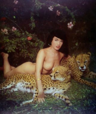Bunny Yeager Color Slide Transparency Bettie Page Nude With 2 Cheetahs Iconic