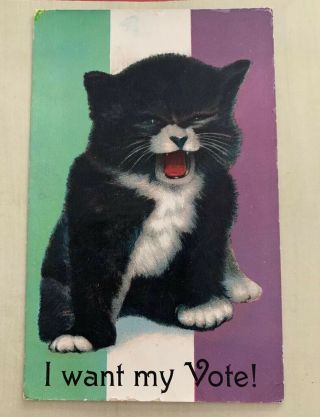 Antique Woman Suffrage Votes For Women Cat Postcard