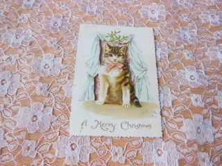 Victorian Christmas Card/cut - Out Cat Behind Curtain/helena Maguire/ernest Nister