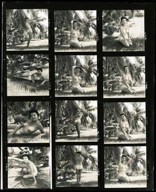 Bunny Yeager Estate 1950s Contact Sheet Photograph 12 Frames Pretty Exotic Model