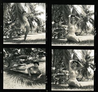 Bunny Yeager Estate 1950s Contact Sheet Photograph 12 Frames Pretty Exotic Model 3