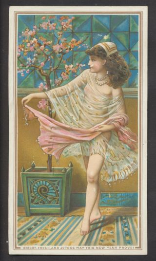 C9608 Victorian De La Rue Year Card: Girl & Tree In Blossom,  W S Coleman