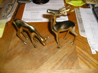 Set Of 2 Brass Deer Decorative Set Buck Stag & Doe