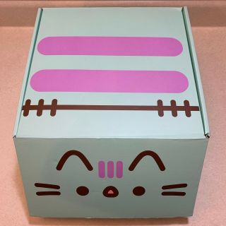Pusheen The Cat Fall 2019 Subscription Box Exclusive Size M