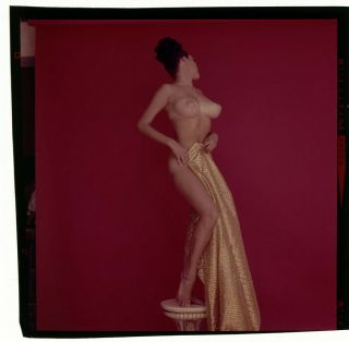 Bunny Yeager Color Transparency Photograph 1960s Nude Model On Pedestal Fabulous 2