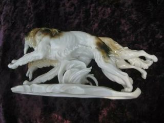 Borzoi Russian Wolfhound Greyhound Karl Ens German porcelain figurine VNTG 1116u 3
