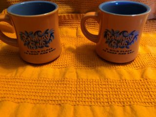 2 Rainforest Cafe Coffee Mugs Cups Orange 4 " Tall 1999