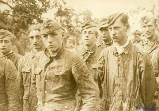 Press Photo: Captured Young German Elite Waffen Troops In Camo; Belgium 1944