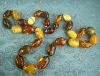Old Vintage Real Baltic Amber Egg Yolk Butterscotch Orange Amber Long Beads 96g