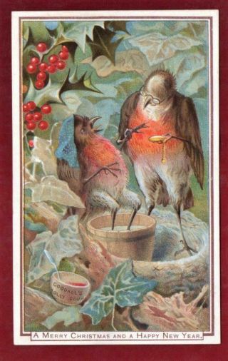 Victorian Goodall Two Robins Telling The Time Christmas Greeting Card