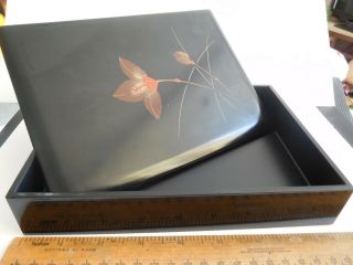 Vintage Japanese Lacquered Black Box With Enamel Hand Painted Flower & Bud