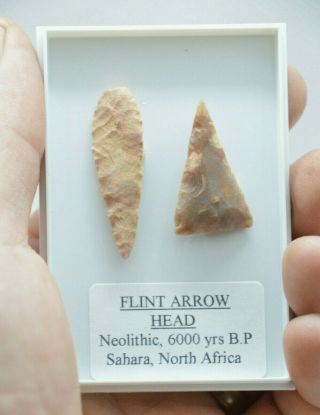 2 X Ancient Stone Age Flint Arrowheads,  Neolithinc Tools,  Great Stocking Filler