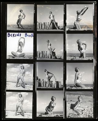 Bunny Yeager 1950s 12 Image 8 " By 10 " Contact Sheet Carol Blake Ala Marilyn Fab