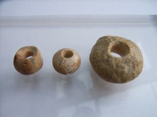 3 Ancient Neolithic Petrified Sea Urchin Beads,  Stone Age,  RARE TOP 3