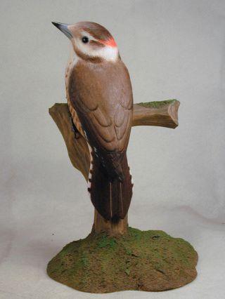 Arizona Woodpecker Bird Wood Carving