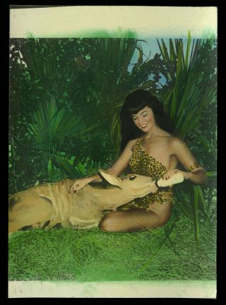 Bunny Yeager Estate 1954 Bettie Page Photograph Hand Tinted Color Proof Photo Nr