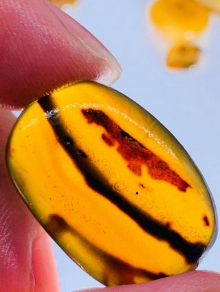 2.  17g Unknown Items Burmite Myanmar Burmese Amber Insect Fossil Dinosaur Age