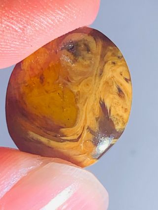 1.  5g Unknown Mineral Item Burmite Myanmar Burma Amber Insect Fossil Dinosaur Age