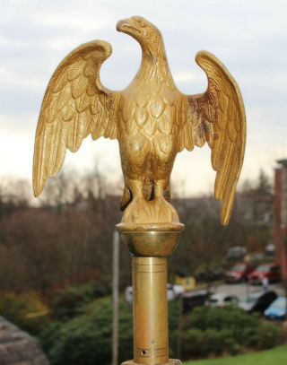 Awesome Antique/vintage Us Federal Brass Eagle Flag Pole Finial Topper