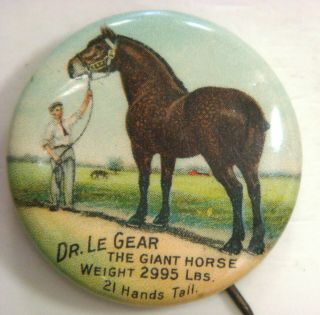 Pinback - Dr.  Le Gear,  The Giant Horse Weight 2995 Lbs.  21 Hands Tall