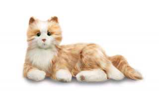 Ageless Innovation | Joy For All Companion Pets | Orange Tabby Cat | Lifelike.