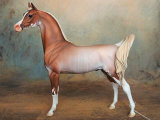 Peter Stone Model Horse Dant - Ooak Chestnut Sabino Rabicano Arab Arabian