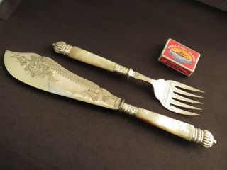 LARGE ORNATE SOLID SILVER & MOTHER OF PEARL FISH SERVERS SHEFFIELD 1899 2