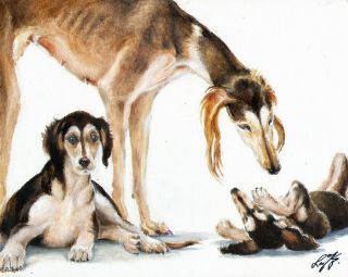 Oil Portrait Painting Art Saluki Artist Signed Artwork Puppy Dog