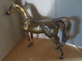 Peter Stone Arabian Horse Sr 2000 “tiger Eye” Glossy Decorator Stallion Exc