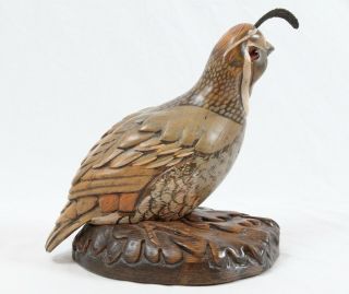 Tom Taber California Quail Wood Carving Decoy Signed Bird Sculpture Glass Eyes 3