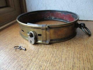 18th Or 19th Century Antique Very Large Mastiff Brass & Leather Lined Dog Collar