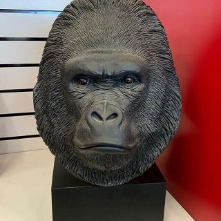 Gorilla Head Sculpture - Rare Sandra Brue Sandicast Signed W/ Stand