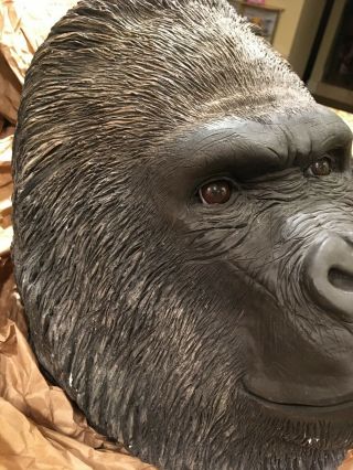 Gorilla Head Sculpture - RARE Sandra Brue Sandicast Signed w/ stand 3