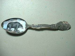Rare Antique Sterling California Bear Enamelled San Francisco Souvenir Spoon