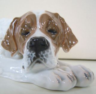 11.  5 " Rosenthal Porcelain Saint Bernard Dog Figurine By Fritz Diller In 1913