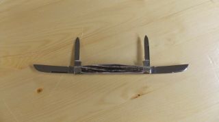 Vtg C.  Bertram Hen & Rooster 4 Blade Pocket Knife Stag Handle Solingen Germany