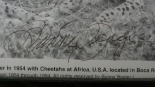 Bunny Yeager SIGNED self - portrait with Bettie Page iconic cheetah photo 2