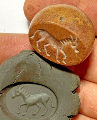Intact Rare Near Eastern Cylinder Seal With Horse Pendant 1900 Bc 34.  6gr 30mm