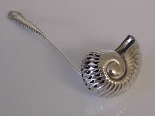 A Fine Antique English Solid Sterling Silver Nautilus Shell Sifter Spoon C1914