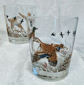 Vintage Set (2) Sporting Ducks,  Mallards Whiskey,  Old Fashioned Glasses 3
