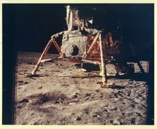 Apollo 11 / Orig Nasa 8x10 Press Photo - Lunar Module " Eagle " On Moon