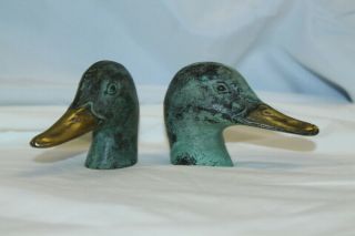 Scott Nelles Bronze Duck Head Pair Paper Weights Gold Bill Life Size Green