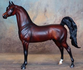 Peter Stone Model Horse Samuel F - Dapple Bay Arab Arabian Buckskin Matte