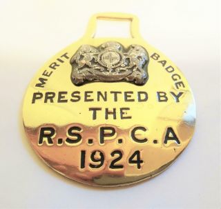 English Antique Horse Brass - Rspca Merit Badge 1924 - Shire Horse