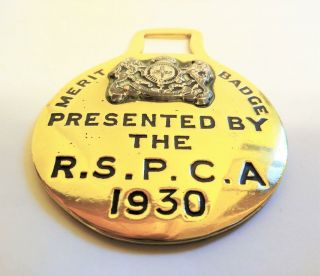 English Antique Cast Horse Brass - Rspca Merit Badge 1930 - Shire Horse