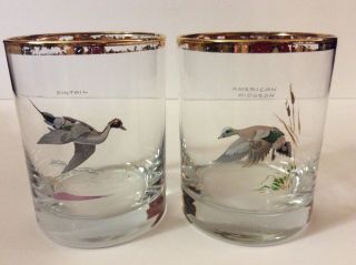 Ned Smith Waterfowl Glasses Low Ball Old Fashioned Rocks Glasses Vintage