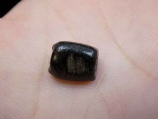 Pre - Columbian Dark Green Jade Bead