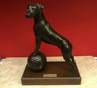 Tony Acevedo Cold Cast Bronze Sculpture Statue Rhodesian Ridgeback Show Dog